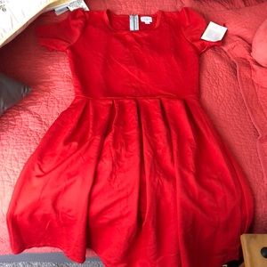 Lularoe Amelia Dress with Tags